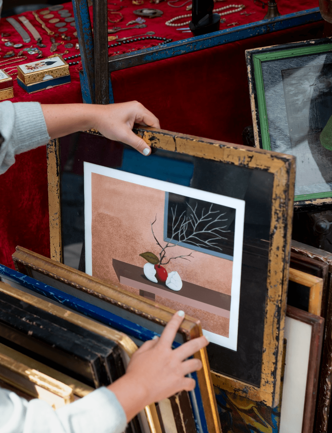 Detailed Documentation for Art, Photography, and Artefact Collections